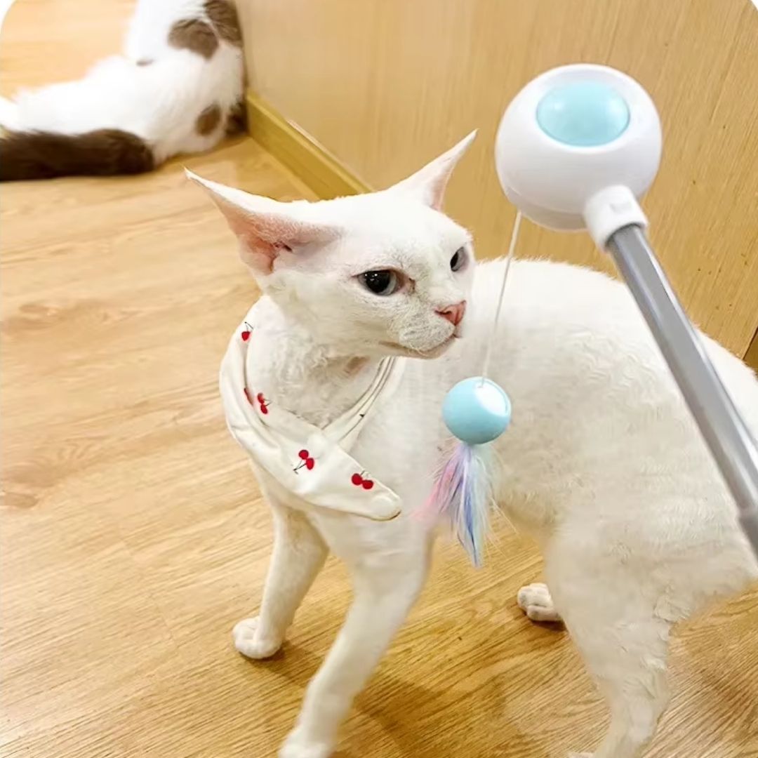 Varinha Interativa com Pena e Catnip para Gatos | Para Gatos de Todas as Idades | Estimula a Atividade Física e a Diversão Autônoma | Design com Movimento por Gravidade e Sino Atrativo