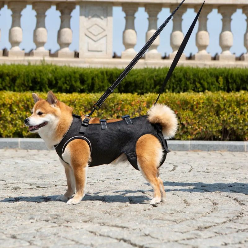 Peitoral de Suporte Ortopédico para Cães e Gatos com Mobilidade Reduzida