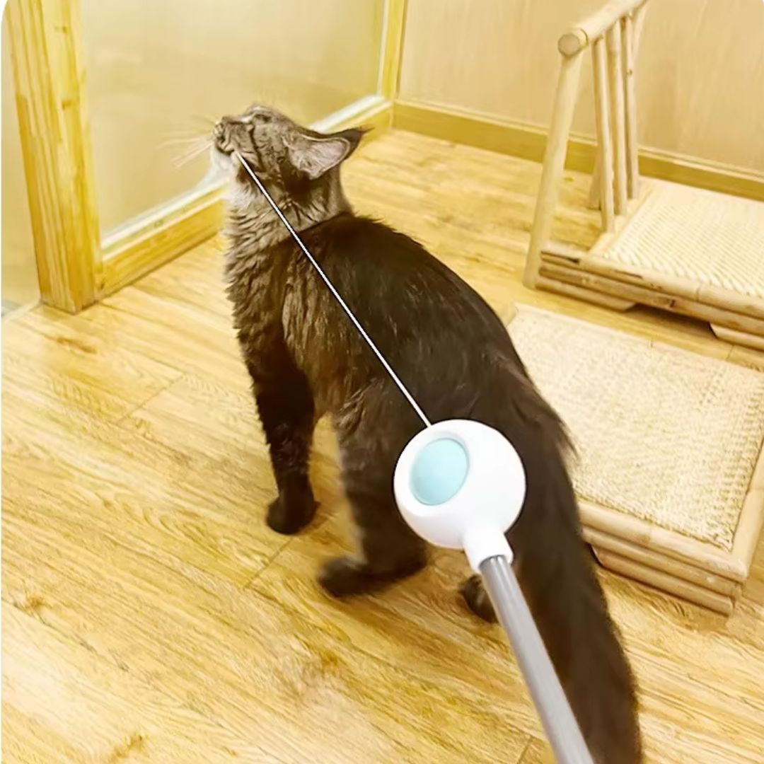 Varinha Interativa com Pena e Catnip para Gatos | Para Gatos de Todas as Idades | Estimula a Atividade Física e a Diversão Autônoma | Design com Movimento por Gravidade e Sino Atrativo