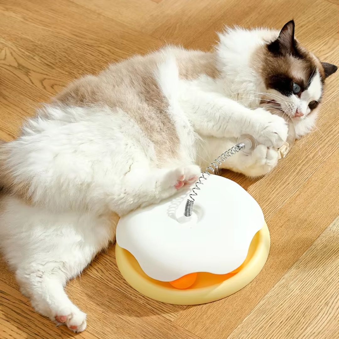 Brinquedo Interativo Balança com Petisco para Cães e Gatos – Diversão e Estímulo Mental