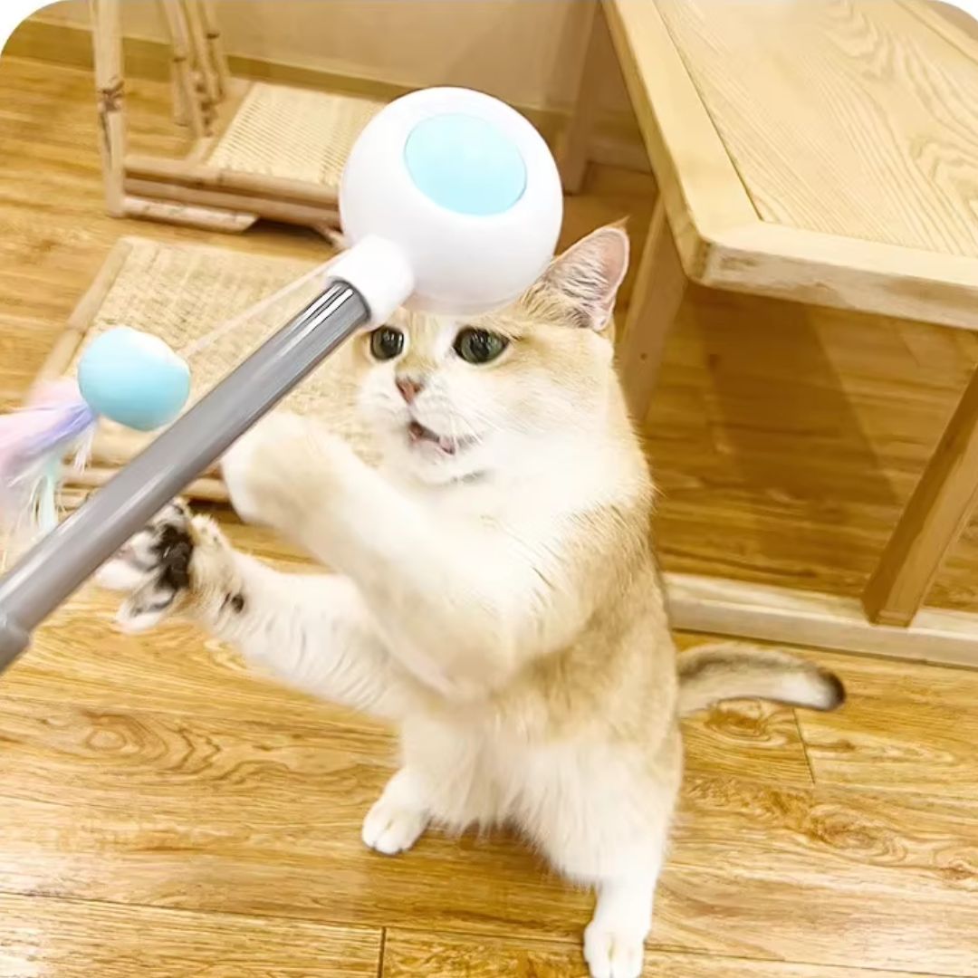 Varinha Interativa com Pena e Catnip para Gatos | Para Gatos de Todas as Idades | Estimula a Atividade Física e a Diversão Autônoma | Design com Movimento por Gravidade e Sino Atrativo