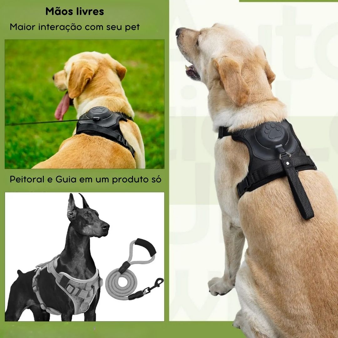Coleira com Guia Embutida para Pets - Acessório Prático para Cães e Gatos que Facilita os Passeios com Conforto e Segurança