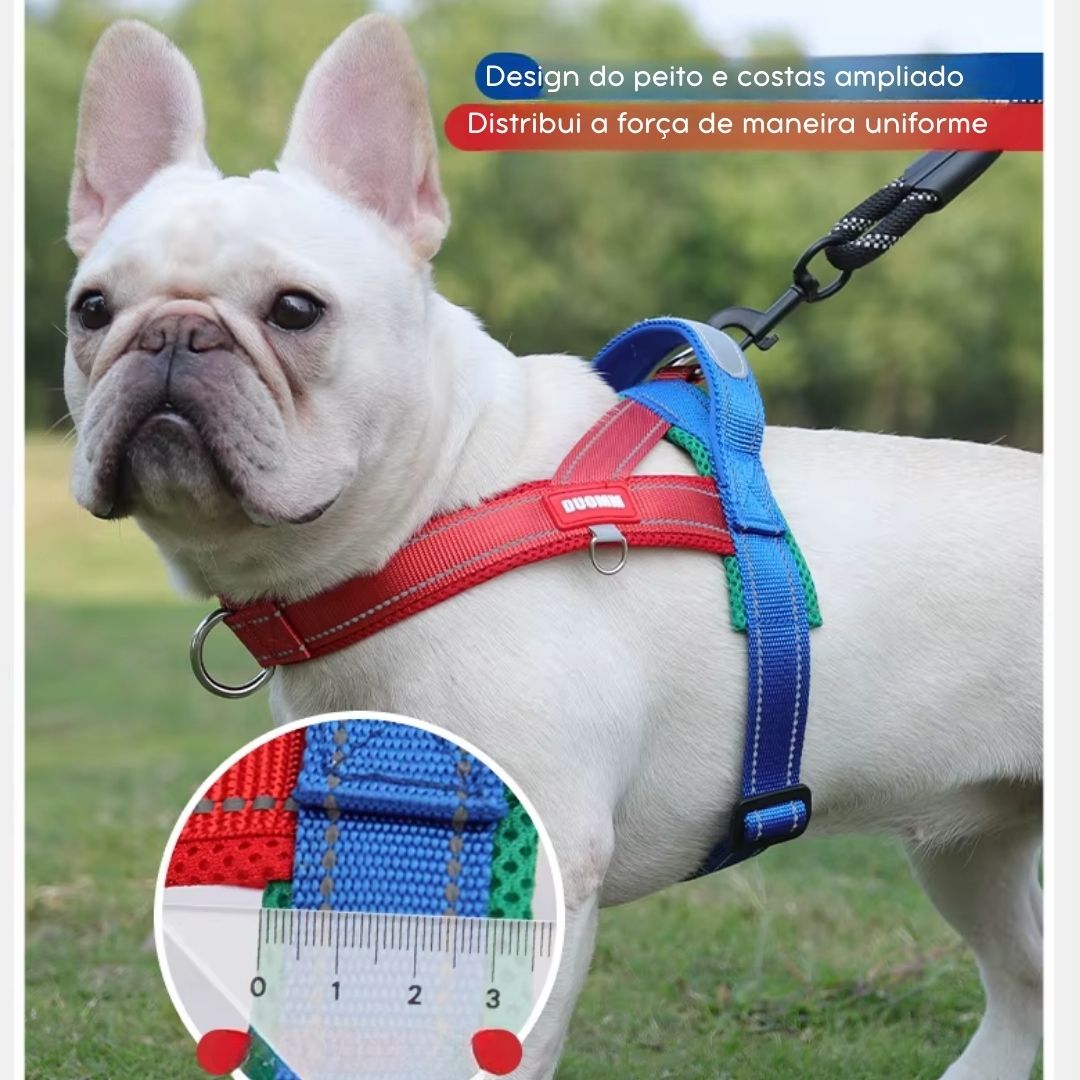 Coleira Peitoral Estilo Sela para Cães Pequenos, Médios e Grandes | Ideal para Caminhadas Seguras ao Ar Livre | Distribui a Pressão Sem Machucar | Ajustável e Confortável