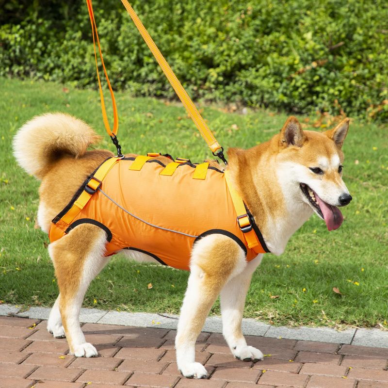 Peitoral de Suporte Ortopédico para Cães e Gatos com Mobilidade Reduzida