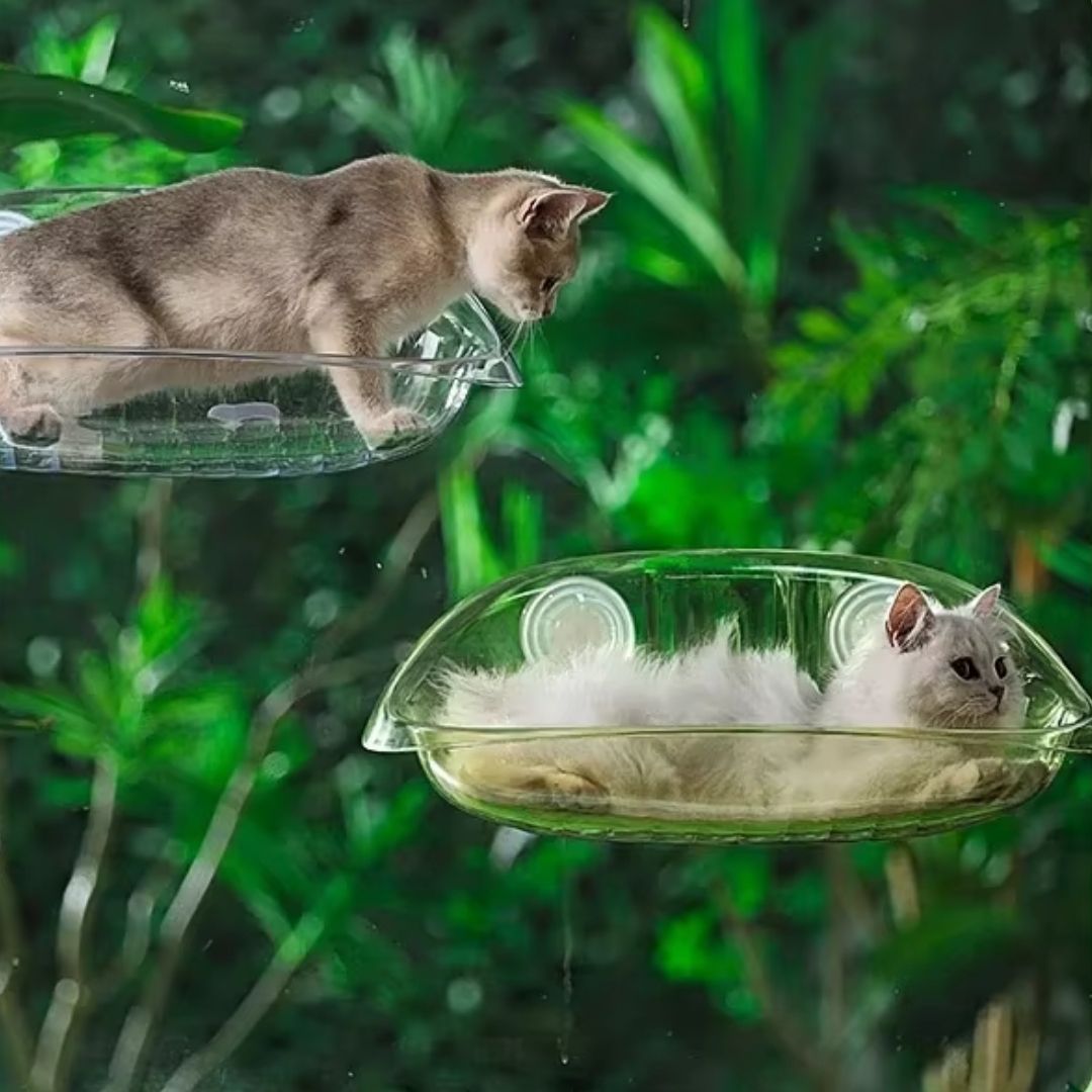 Cama Suspensa de Janela para Gatos Curiosos – Conforto e Diversão com Fixação Segura