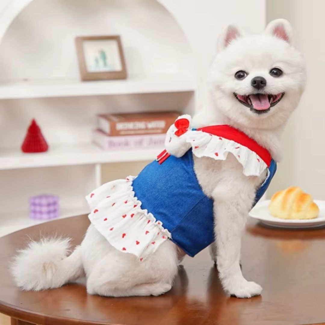 Coleira Peitoral com Saia Estilo Vestido para Cães e Gatos Pequenos | Ideal para Passeios ao Ar Livre com Segurança e Estilo | Com Estampa de Coração e Acompanha Guia