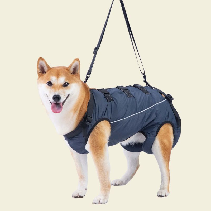 Peitoral de Suporte Ortopédico para Cães e Gatos com Mobilidade Reduzida