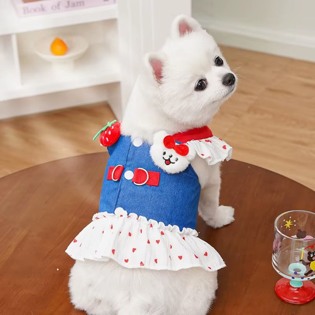 Coleira Peitoral com Saia Estilo Vestido para Cães e Gatos Pequenos | Ideal para Passeios ao Ar Livre com Segurança e Estilo | Com Estampa de Coração e Acompanha Guia