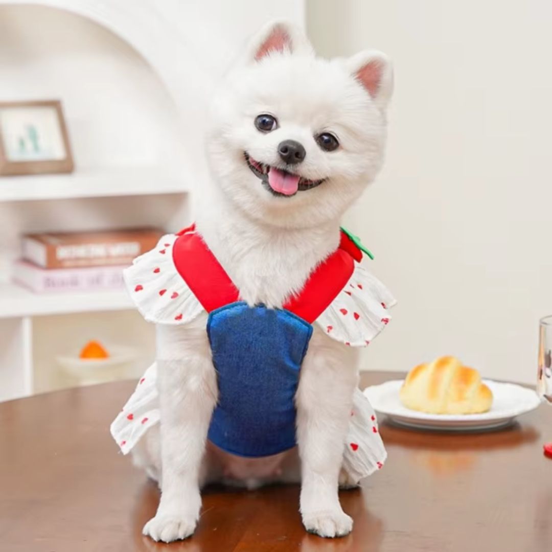 Coleira Peitoral com Saia Estilo Vestido para Cães e Gatos Pequenos | Ideal para Passeios ao Ar Livre com Segurança e Estilo | Com Estampa de Coração e Acompanha Guia
