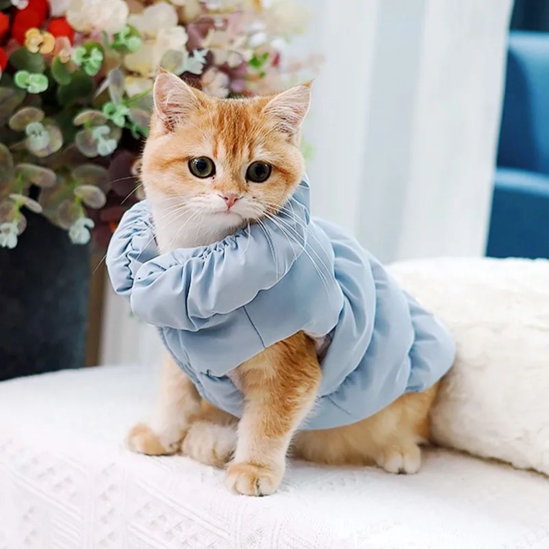 Casaco Pet Inverno com Tiras Refletivas – Conforto e Segurança para Cachorros e Gatos