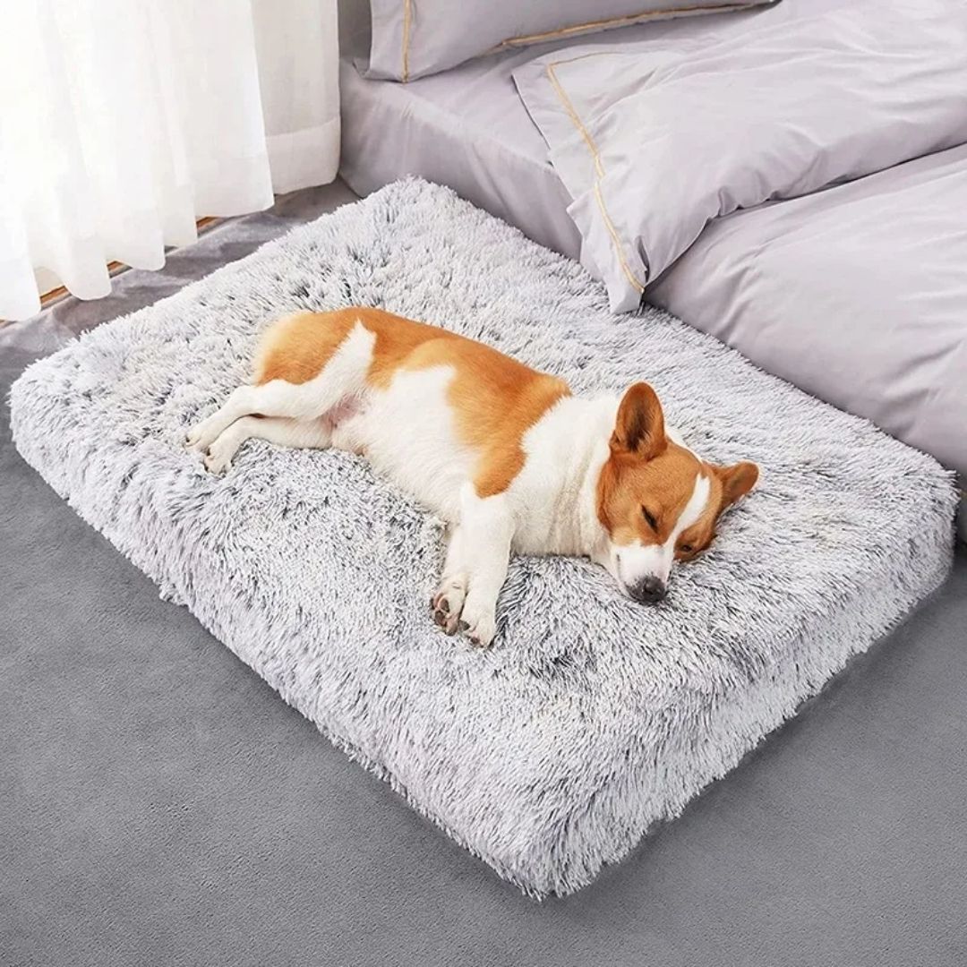 Cama Ortopédica de Pelúcia para Cães – Conforto e Alívio da Dor VELÚ PET