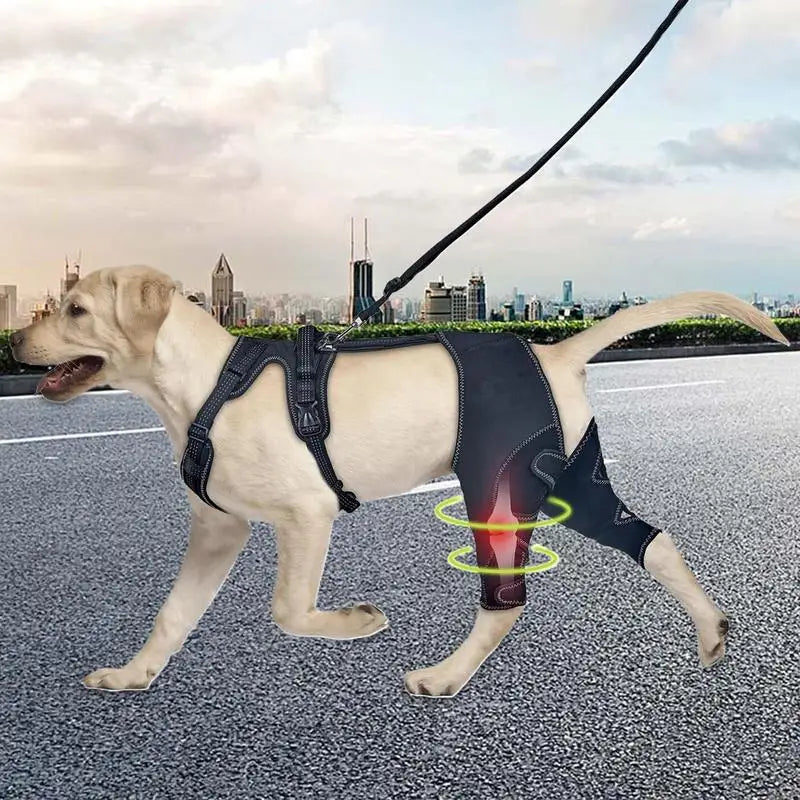 Joelheira Ortopédica para Cães Com Peitoral – Suporte para Joelho e Recuperação velú pet