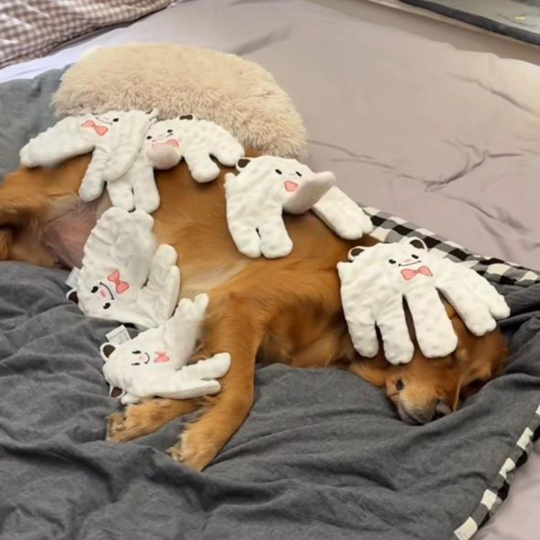 Luva Calmante com Controle Remoto para Cães e Gatos | Ideal para Acalmar e Ninar Pets | Simula Carinhos com Movimento Suave | Enchimento Térmico de Grãos Naturais