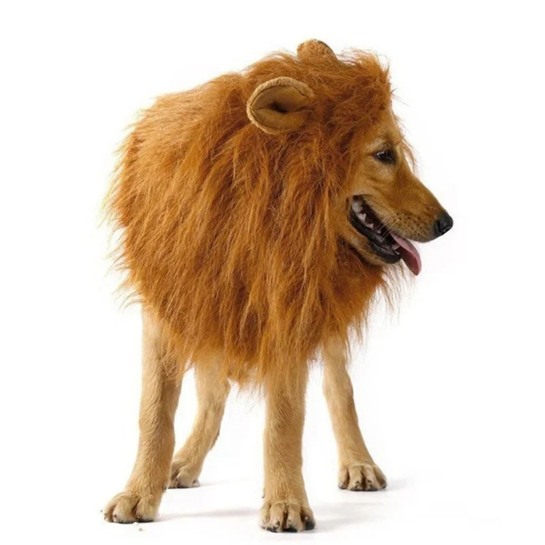 Fantasia de Juba de Leão para Cães e Gatos | Ideal para Pets de Médio e Grande Porte | Perfeita para Sessões de Fotos e Festas Temáticas | Ajustável e Confortável para Uso Prolongado