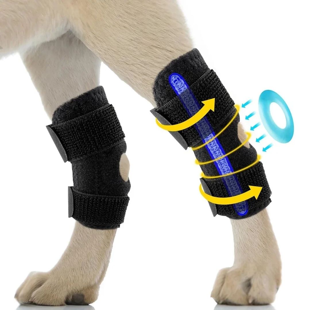 Joelheira Ortopédica para Cães – Suporte e Recuperação Articular velú pet