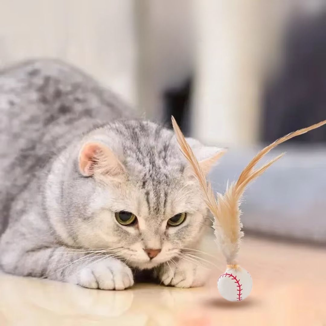 Bola Interativa Saltitante para Pets | Para Gatos e Cães de Pequeno Porte | Estimula a Atividade Física e o Instinto de Caça | Design com Movimento Automático e Rolamento Interno