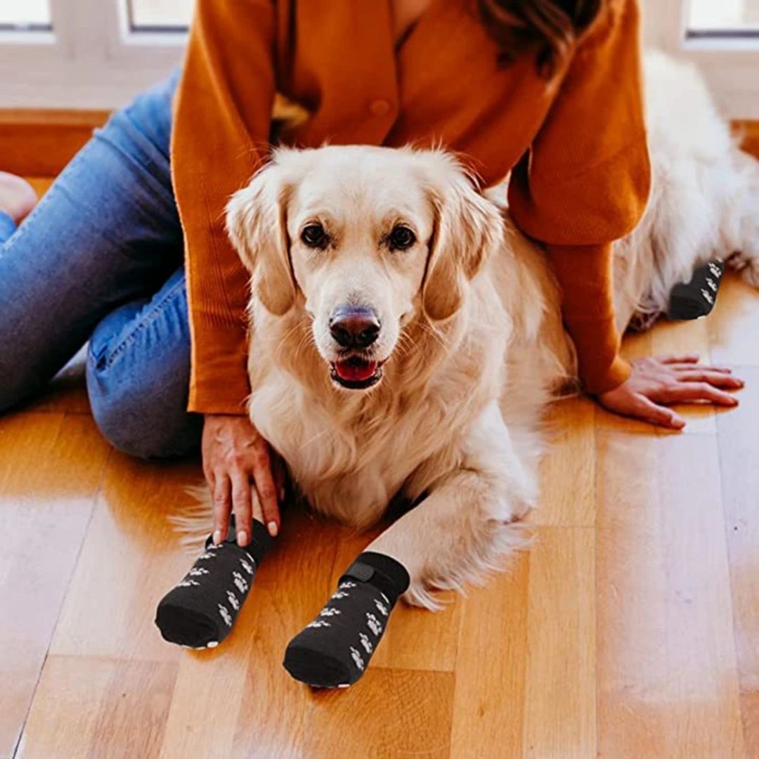 Meias Antiderrapantes para Cães com Alça Ajustável – Conforto e Segurança para Patinhas