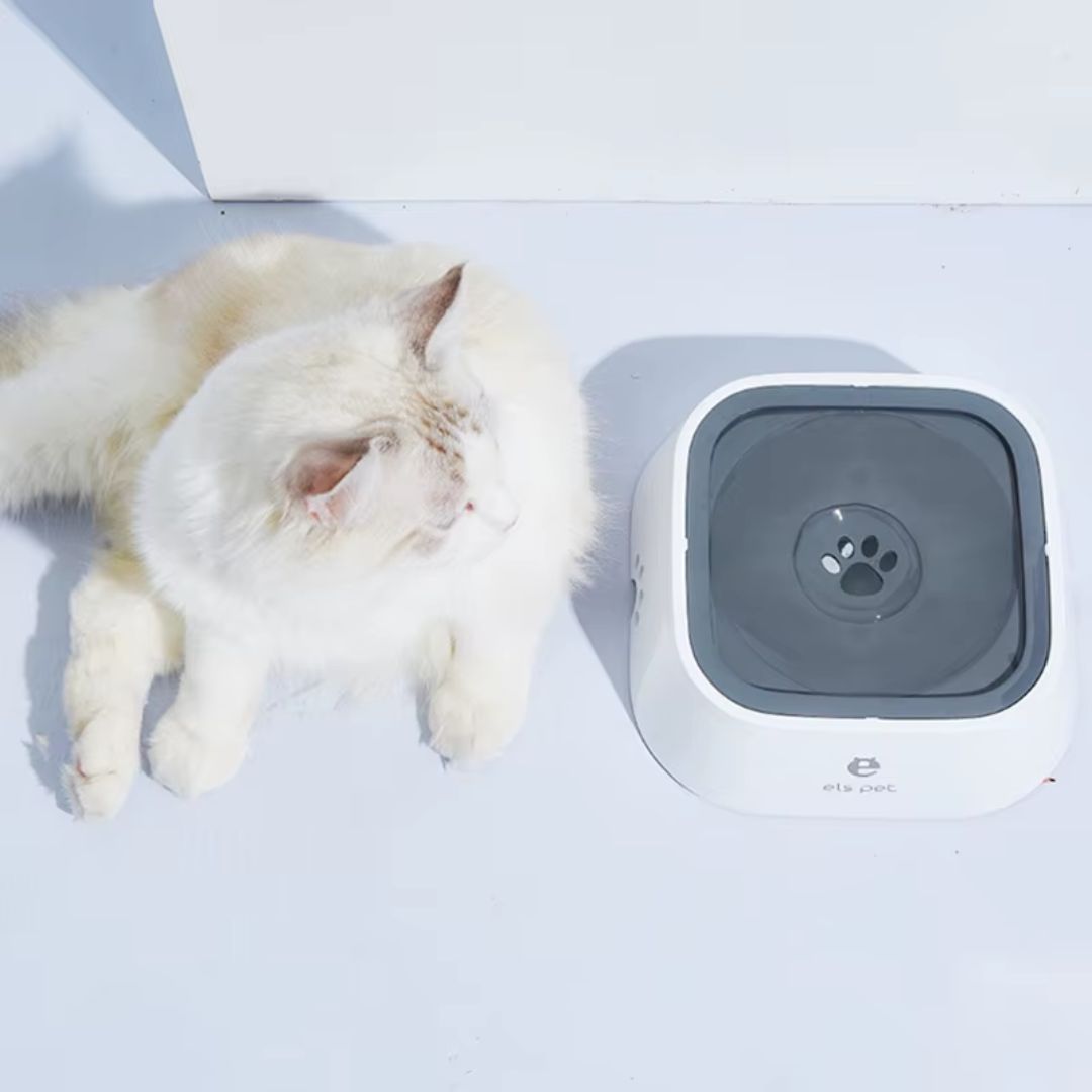 Bebedouro Flutuante Antirespingo para Pets | Para Cães e Gatos de Todos os Tamanhos | Mantém a Boca Seca e Evita Respingos Durante a Hidratação | Design Inteligente com Tigela Flutuante