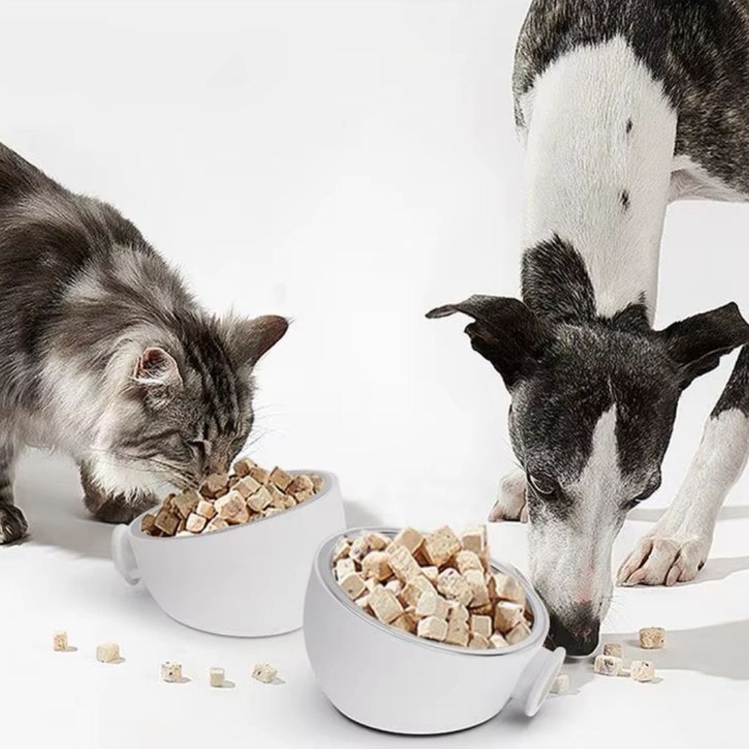 Tigela de Alimentação Magnética em Aço Inoxidável | Para Cães e Gatos de Todos os Tamanhos | Evita Derramamentos e Mantém a Área de Alimentação Organizada | Design Elevado e Fixo com Suporte Montável na Parede