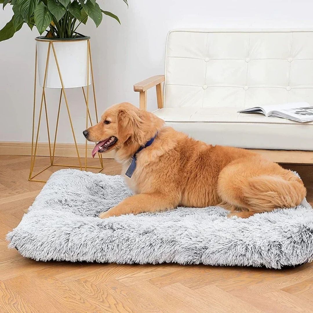 Cama Ortopédica de Pelúcia para Cães – Conforto e Alívio da Dor VELÚ PET