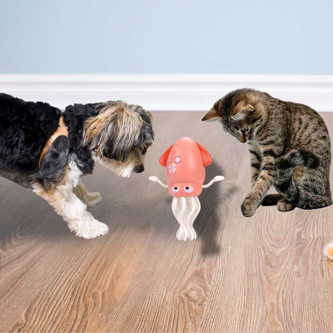 Polvinho Dançarino Interativo para Pets – Brinquedo com Luzes, Música e Movimento Automático