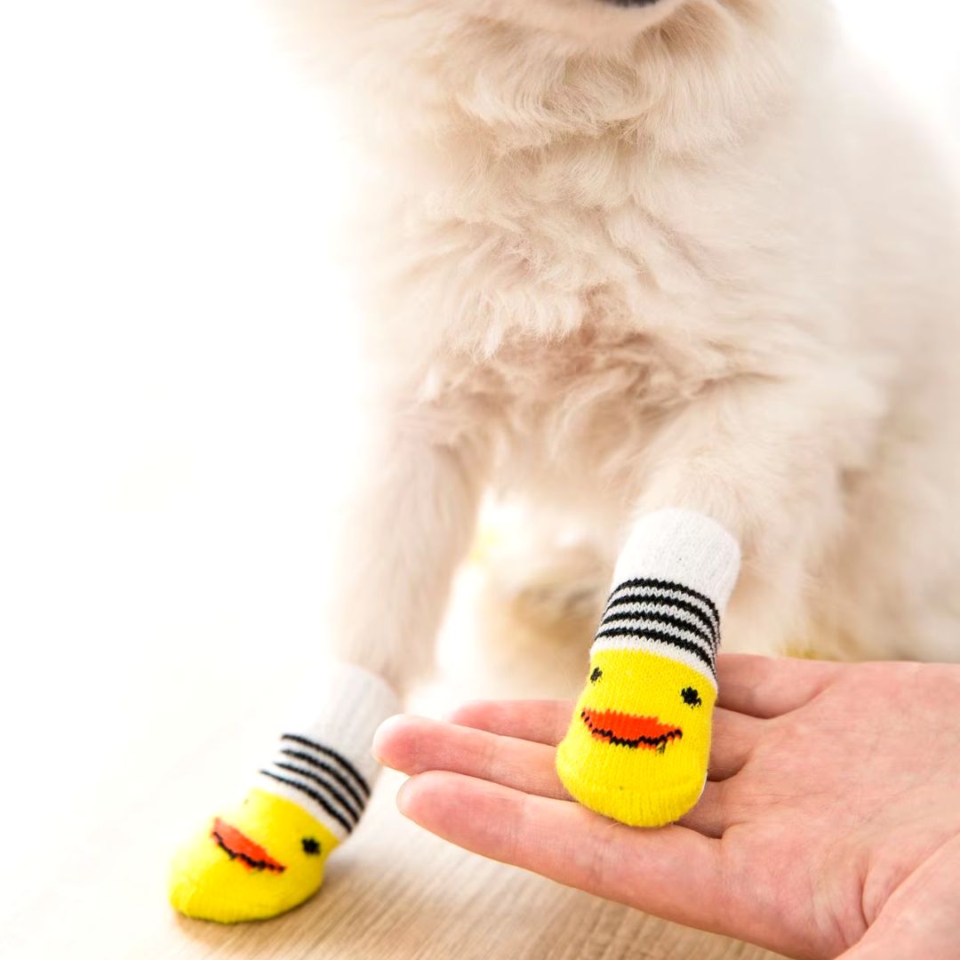 Meias Antiderrapantes para Pets | Com Estampa de Patinho para Cães e Gatos | Proteção e Conforto em Ambientes Escorregadios | Material Macio e Durável