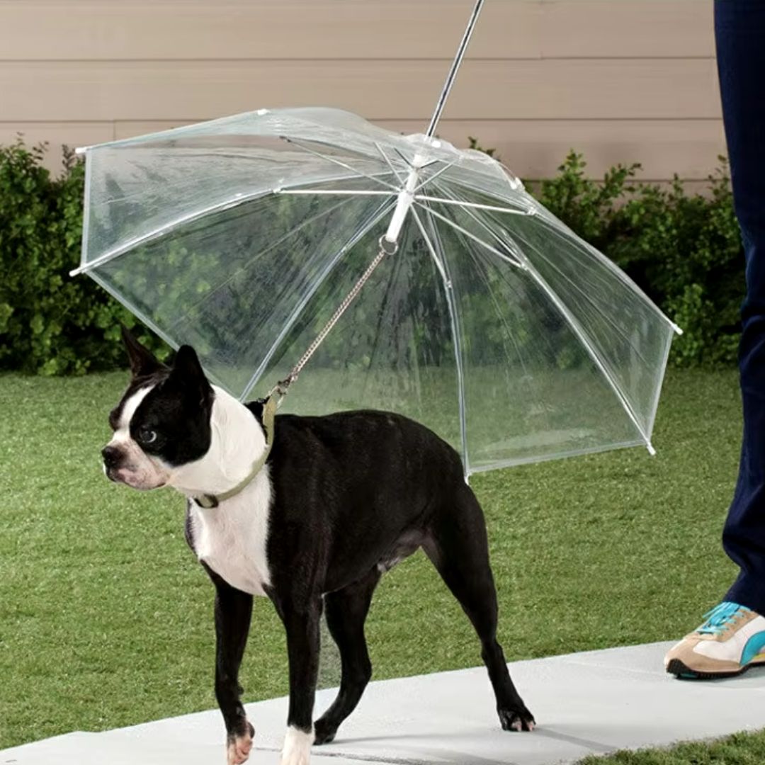 Guarda-Chuva de Proteção para Pets | Ideal para Cães em Dias de Chuva | Mantém o Pet Seco e Confortável | Com Alça Ergonômica e Visibilidade Total