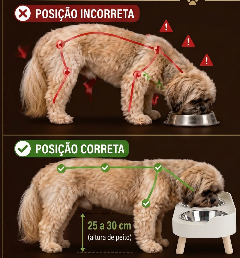Comedouro Elevado para Alimentação Saudável - ElevPet™