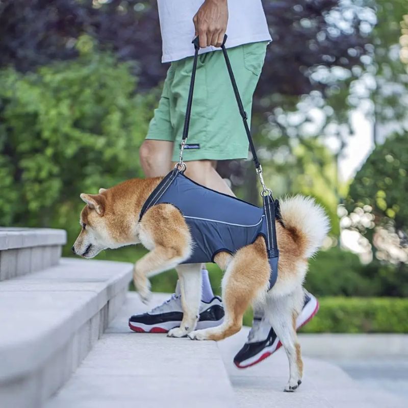 Peitoral de Suporte Ortopédico para Cães e Gatos com Mobilidade Reduzida