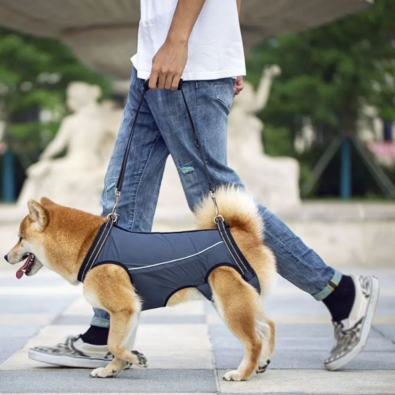 Peitoral de Suporte Ortopédico para Cães e Gatos com Mobilidade Reduzida