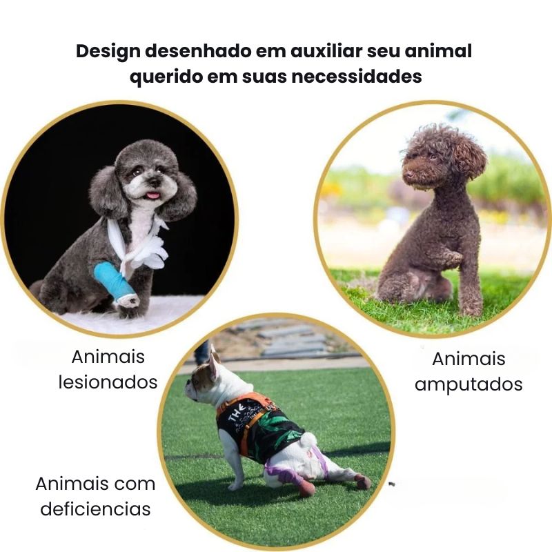 Peitoral de Suporte Ortopédico para Cães e Gatos com Mobilidade Reduzida