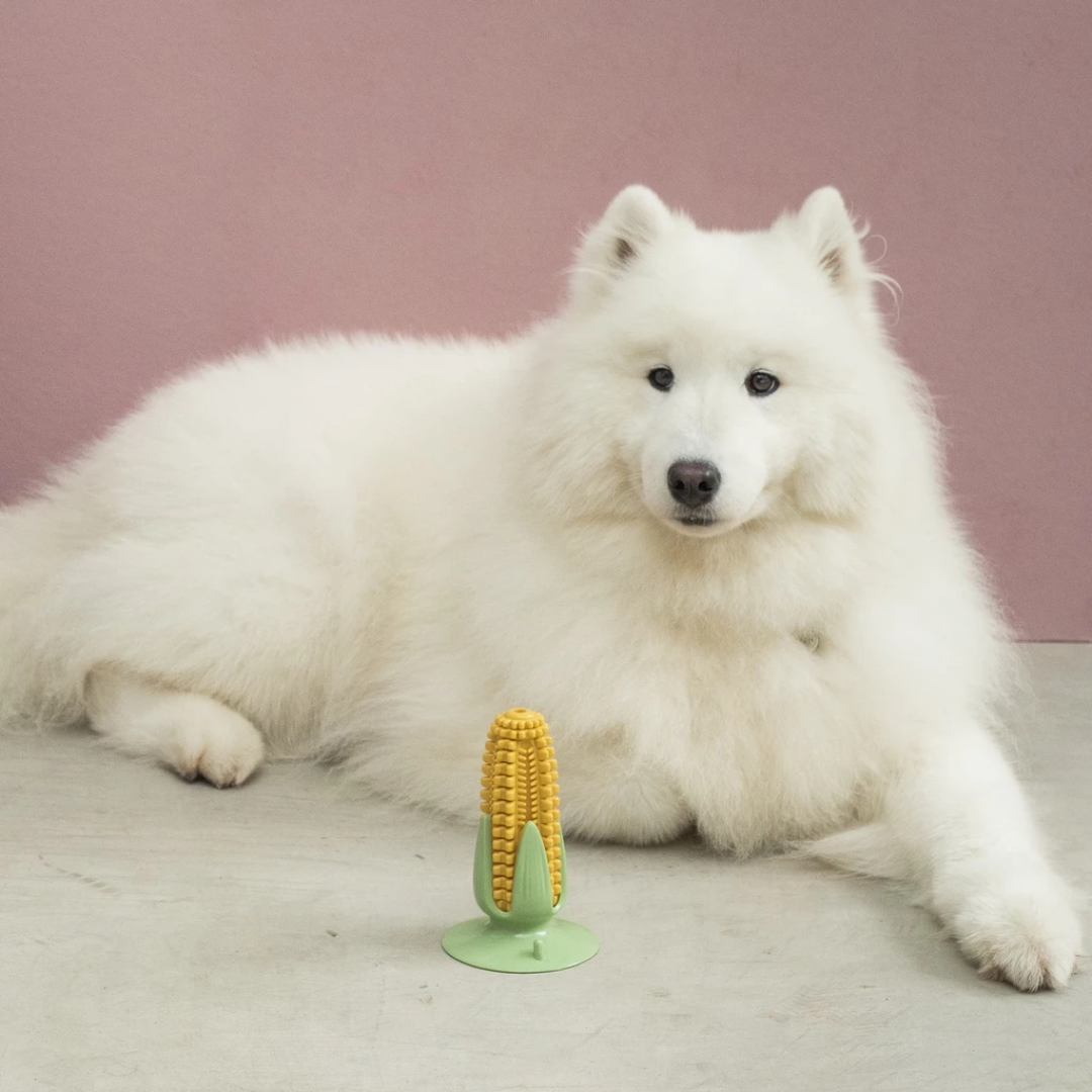 Brinquedo Mordedor em Forma de Milho Verde para Cachorros: Promove Diversão e Saúde Bucal