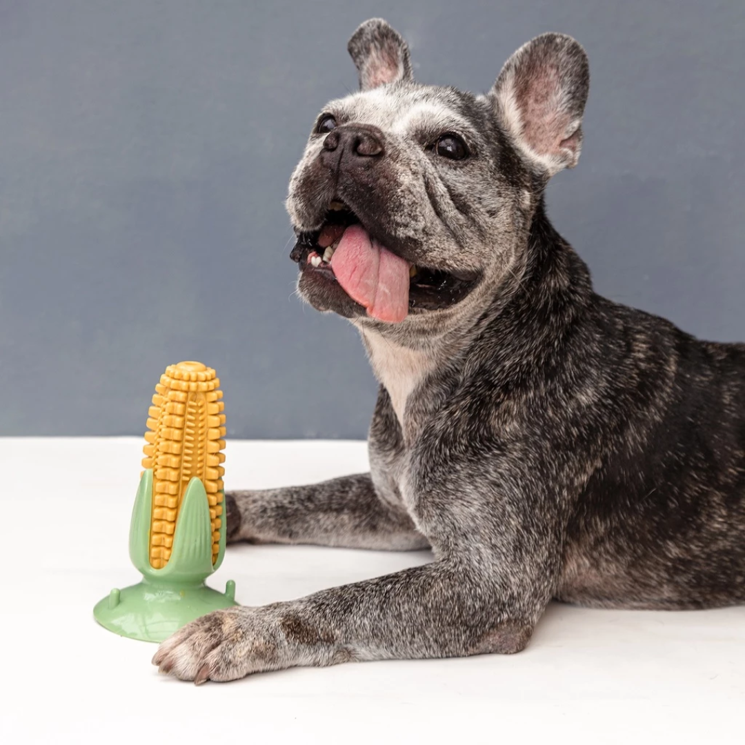 Brinquedo Mordedor em Forma de Milho Verde para Cachorros: Promove Diversão e Saúde Bucal