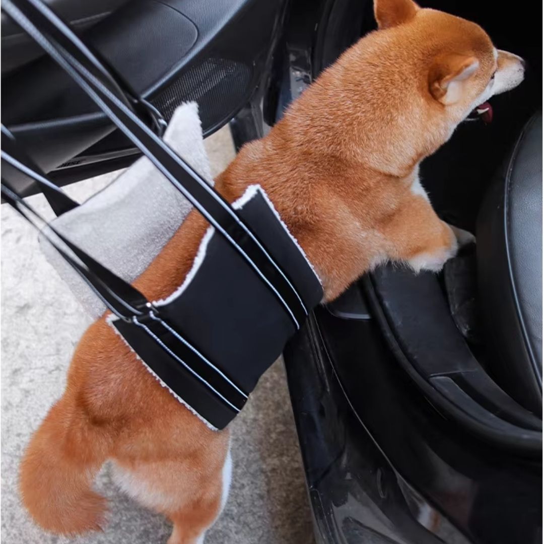 Arnês de Elevação Abdominal Ortopédico para Cães