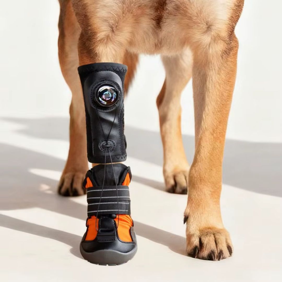 Botinha Corretiva Antiderrapante para Cães que Arrastam a Pata — Apoio de Marcha