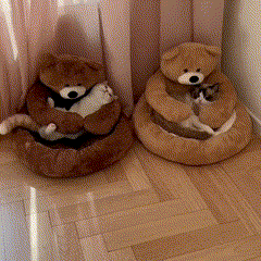 Cama Urso de Pelúcia para Pets – Conforto e Aconchego
