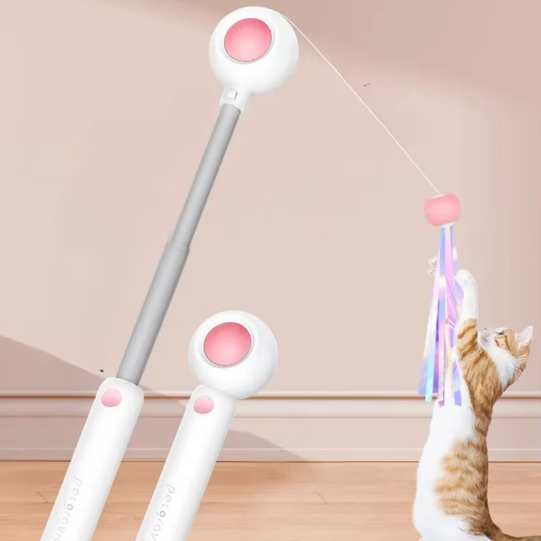 Varinha Interativa com Pena e Catnip para Gatos