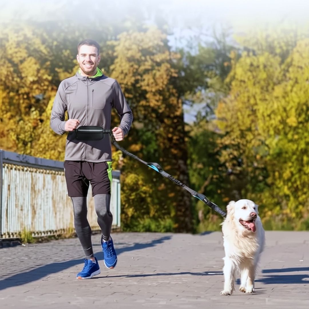 Guia Mãos Livres para Cães | Corrida e Caminhada com Mãos Livres