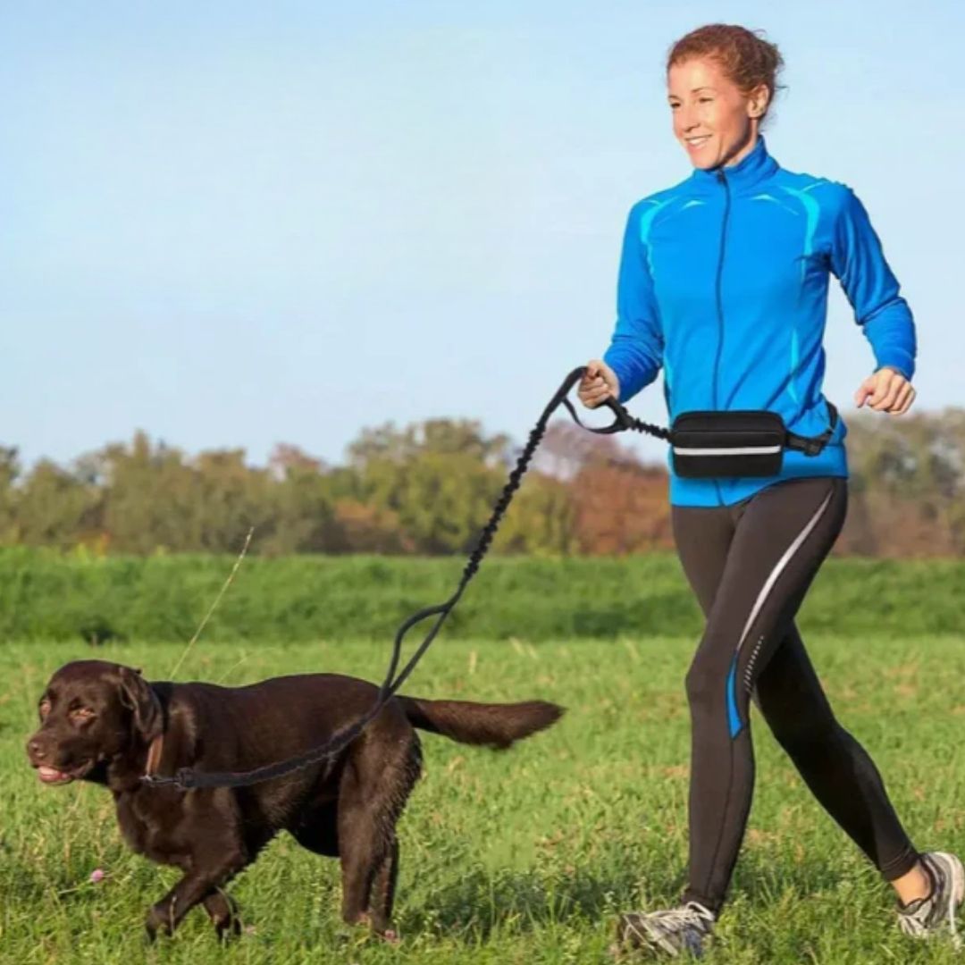 Guia Mãos Livres para Cães | Corrida e Caminhada com Mãos Livres