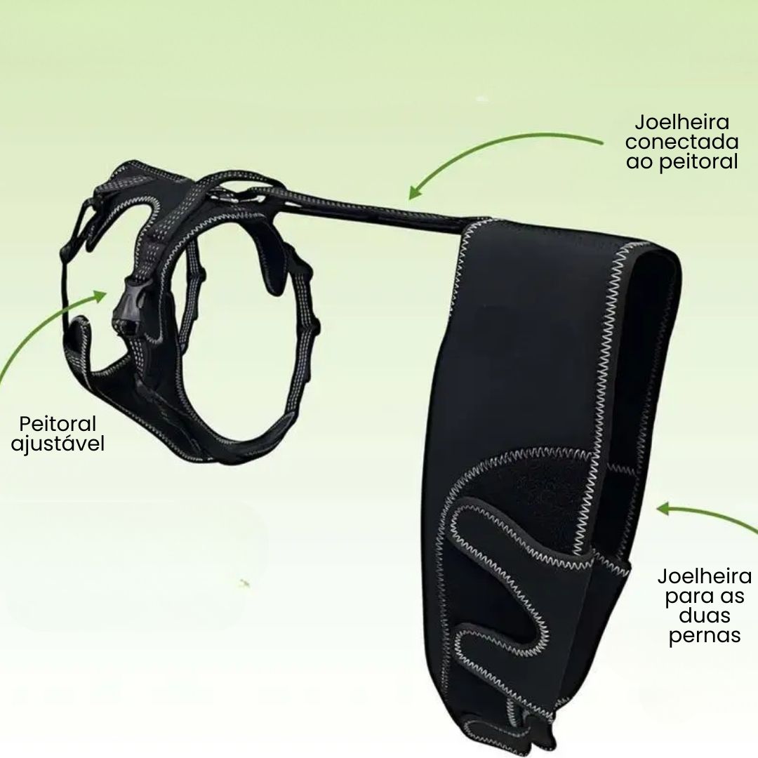 Joelheira Ortopédica para Cães Com Peitoral – Suporte para Joelho e Recuperação velú pet