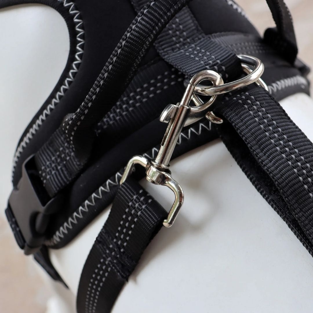 Joelheira Ortopédica para Cães Com Peitoral – Suporte para Joelho e Recuperação velú pet