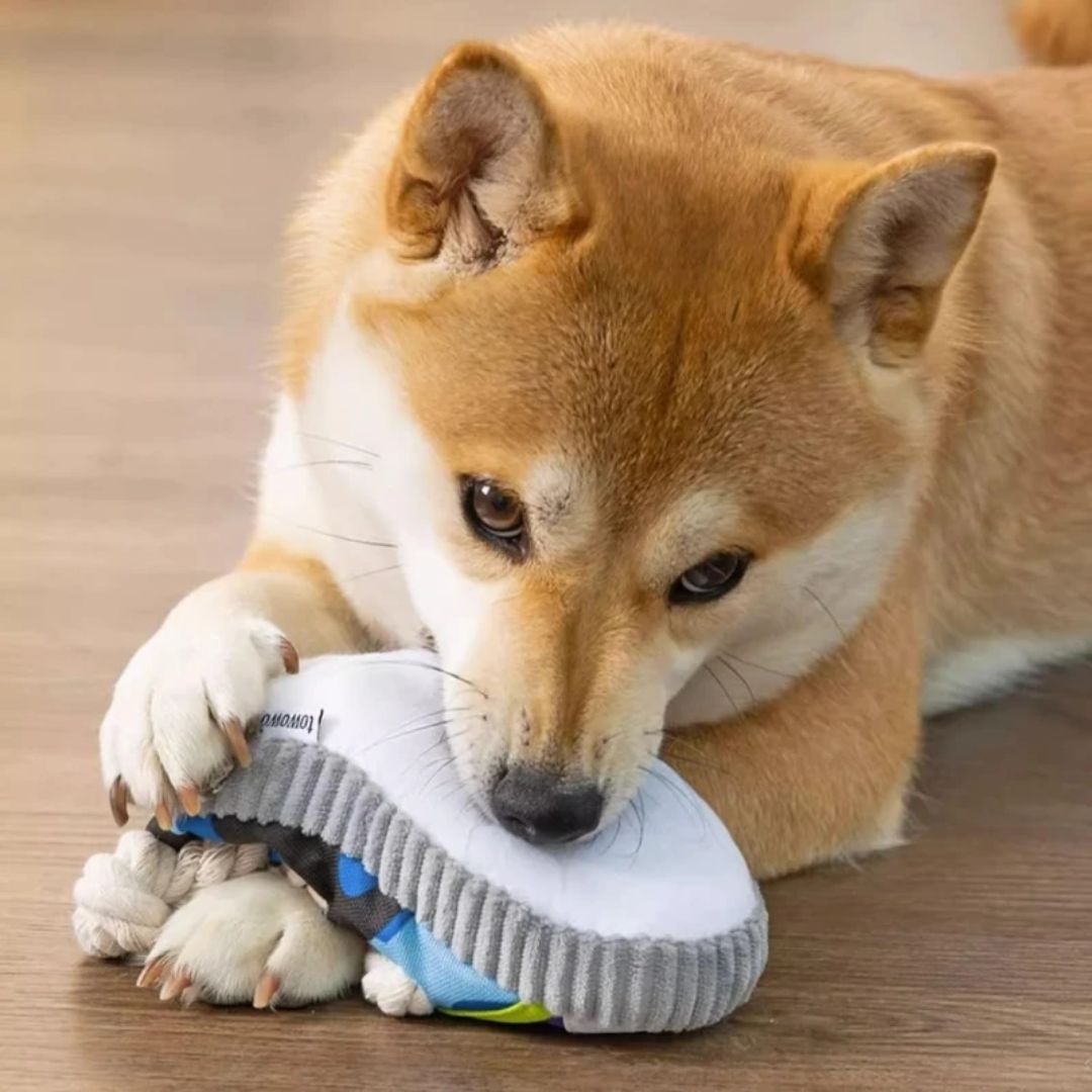 Sapato Mastigável para Cachorros - Brinquedo Resistente que Satisfaz o Instinto de Roer