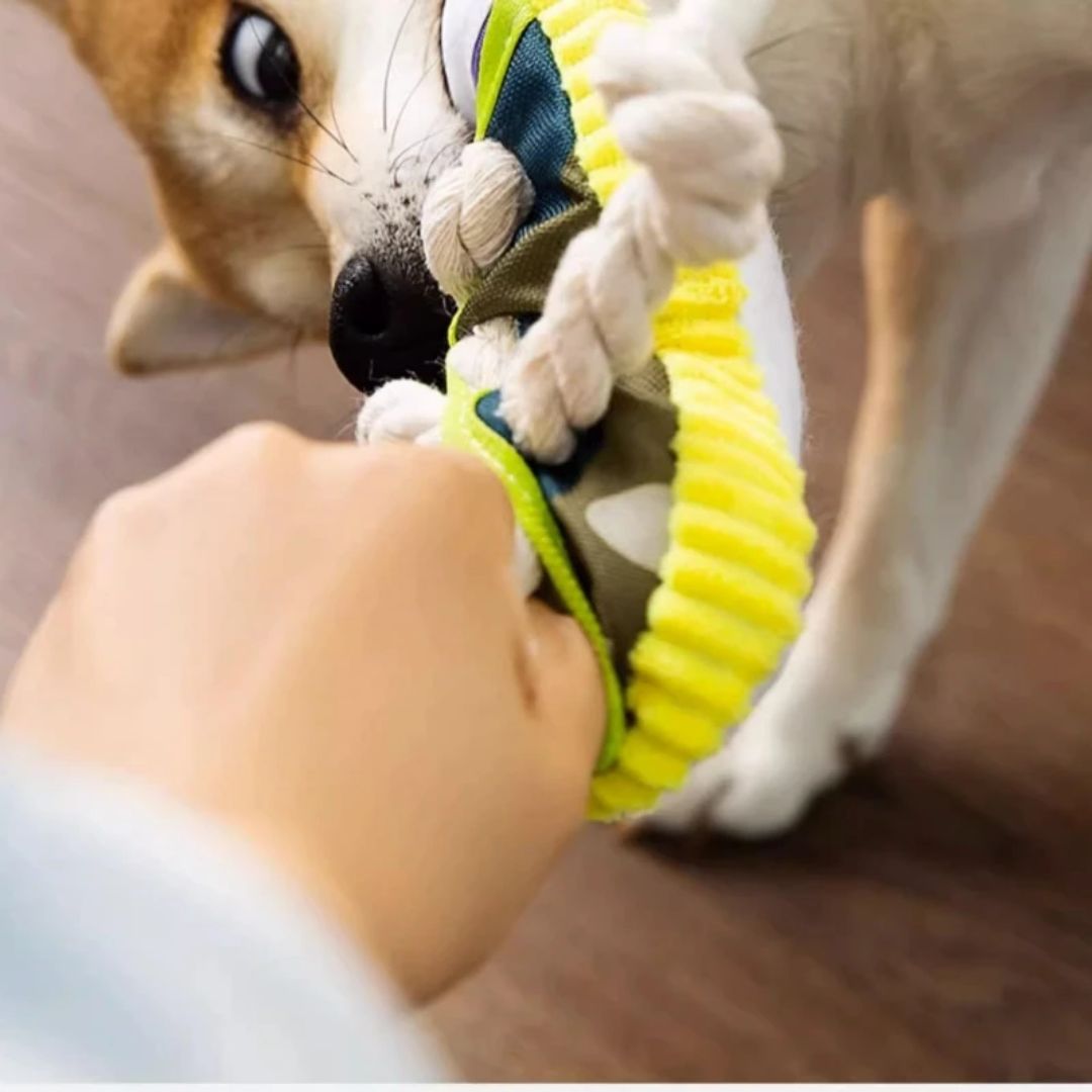 Sapato Mastigável para Cachorros - Brinquedo Resistente que Satisfaz o Instinto de Roer