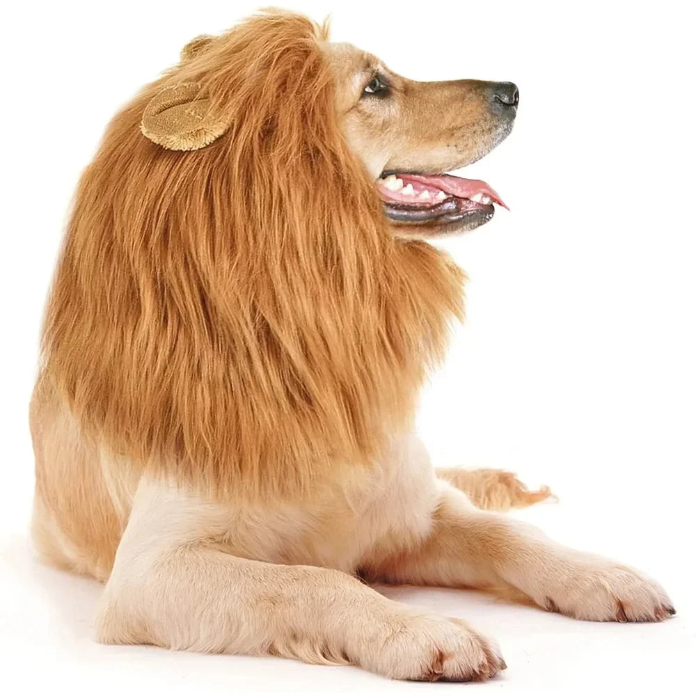 Fantasia de Juba de Leão para Cães e Gatos | Ideal para Pets de Médio e Grande Porte | Perfeita para Sessões de Fotos e Festas Temáticas | Ajustável e Confortável para Uso Prolongado