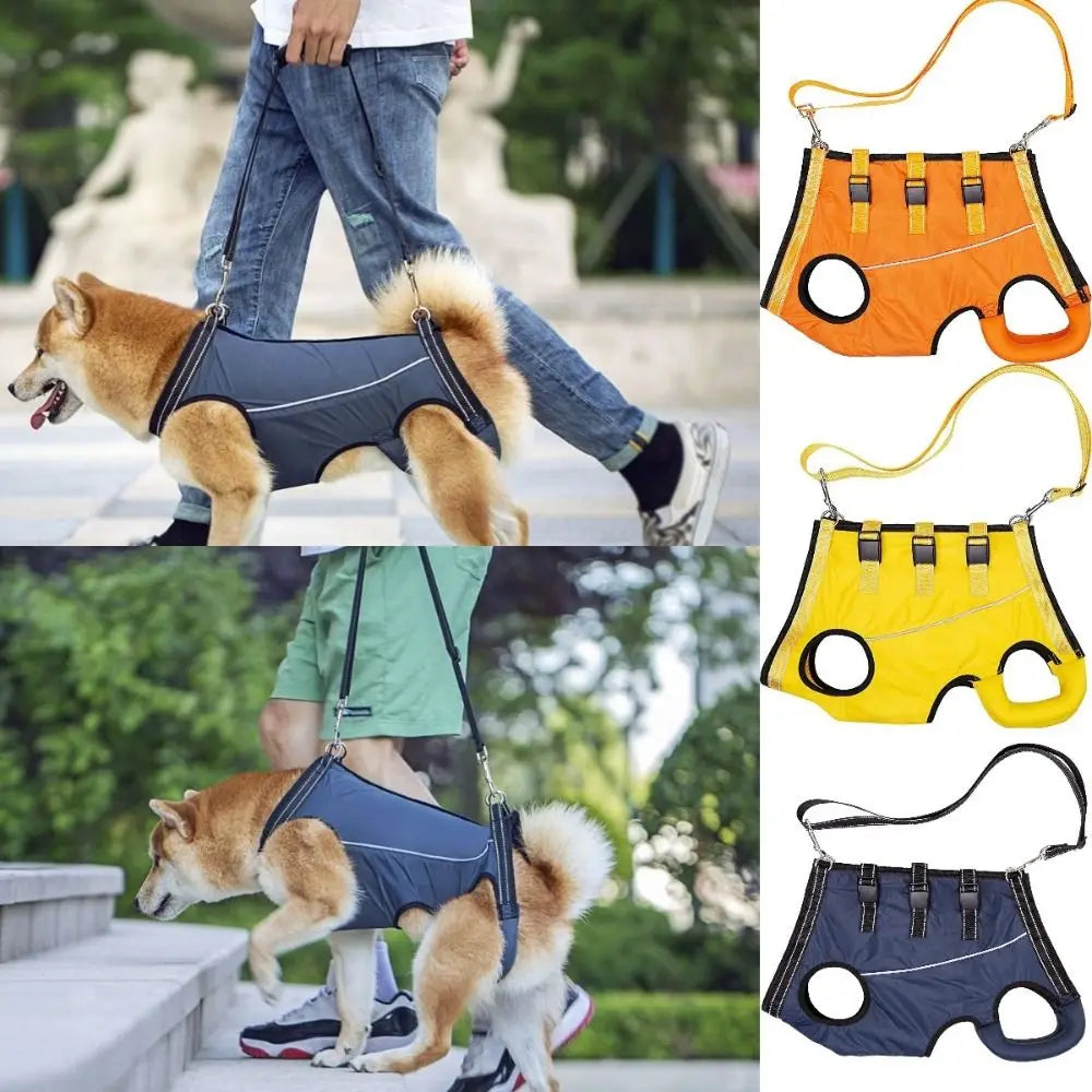 Peitoral de Suporte Ortopédico para Cães e Gatos com Mobilidade Reduzida