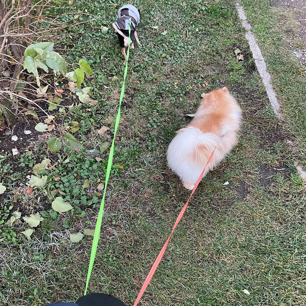 Guia de Passeio Dupla Multifuncional para Pets - Para Cães e Gatos que Facilita Caminhadas Seguras e Confortáveis com Design Ajustável