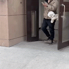 Bolsa Transportadora Respirável para Cães e Gatos – Design Moderno, Sofisticado e Confortável, com Alça Ajustável para Transporte Portátil
