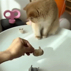 Brinquedo Eletrônico para Gatos | Ideal para Gatinhos Ativos | Estimula o Instinto de Caça e o Exercício Diário | Ratinho Automático com Movimento Vibratório