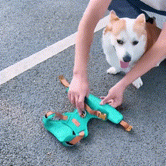 Coleira Peitoral Antipuxão para Cães – Para Cães Pequenos, Médios e Grandes – Ideal para Passeios Seguros e Confortáveis – Com Malha Respirável e Fivela de Liberação Rápida