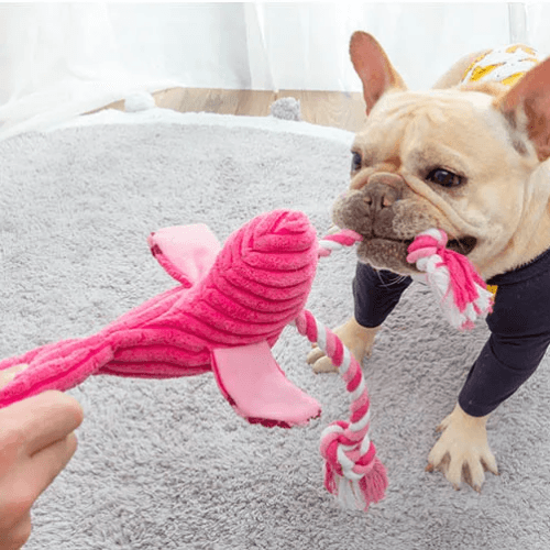 Pelúcia de Flamingo Festivo para Cães e Gatos - Brinquedo Interativo que Promove Diversão e Conforto com Design Colorido e Macio